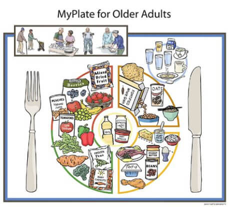 nutritious senior meals